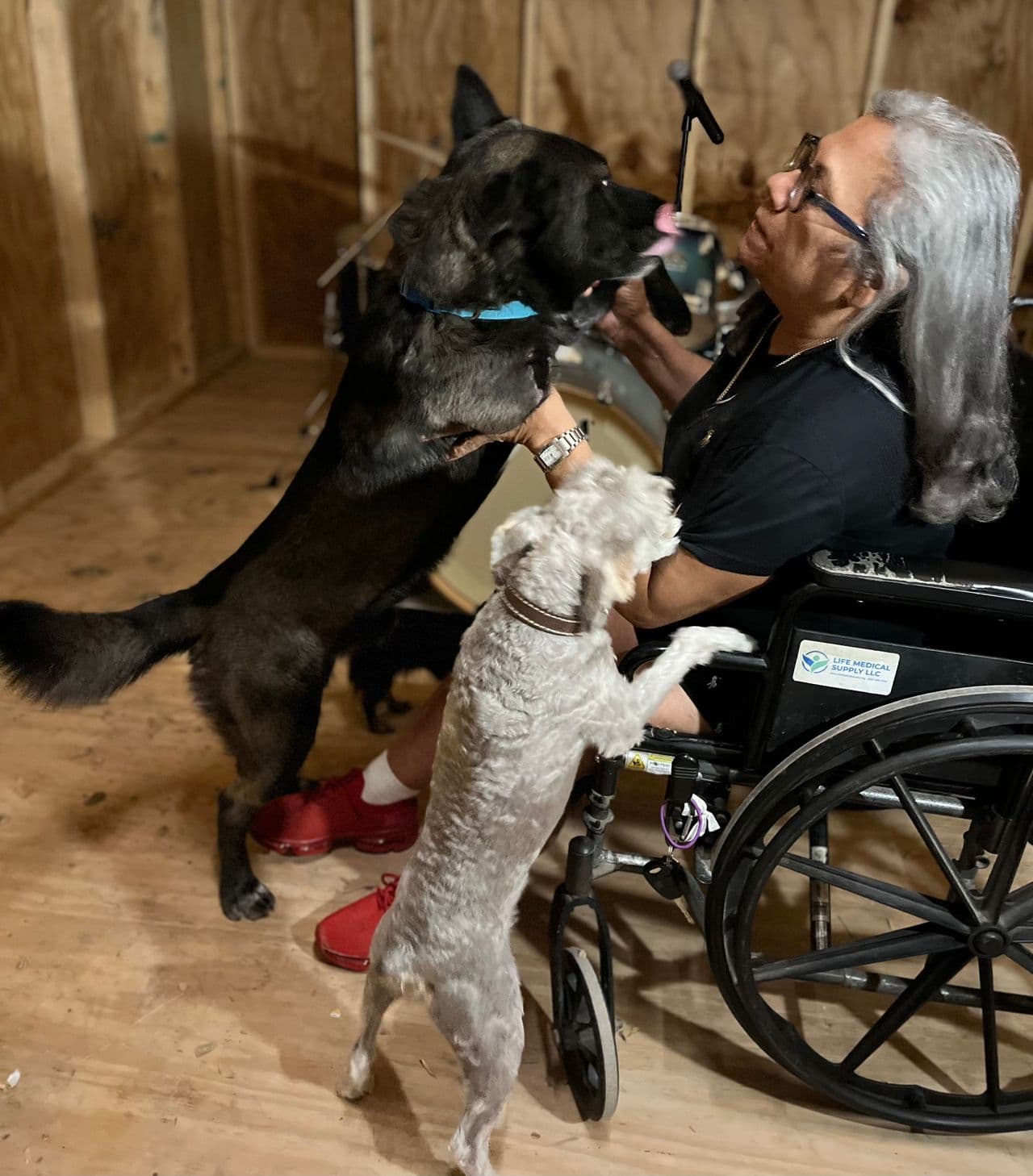 Pet travel photo 3