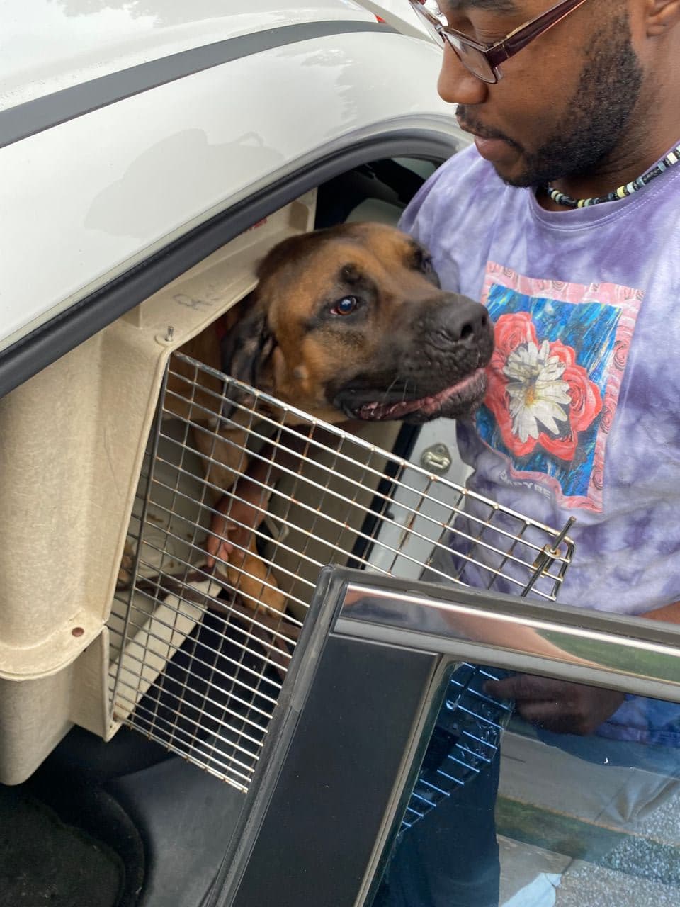 Pet travel photo 2