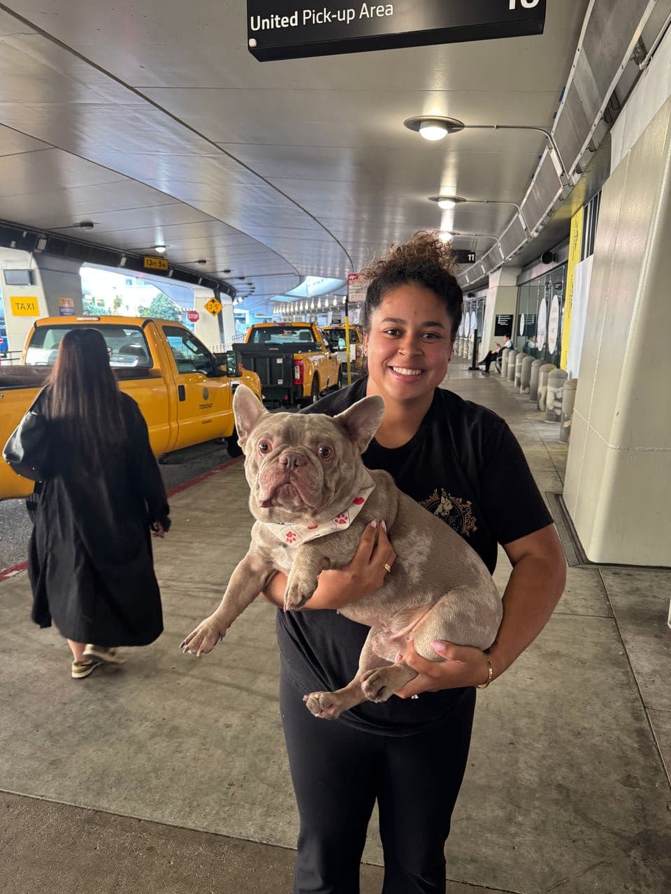 Pet travel photo 4