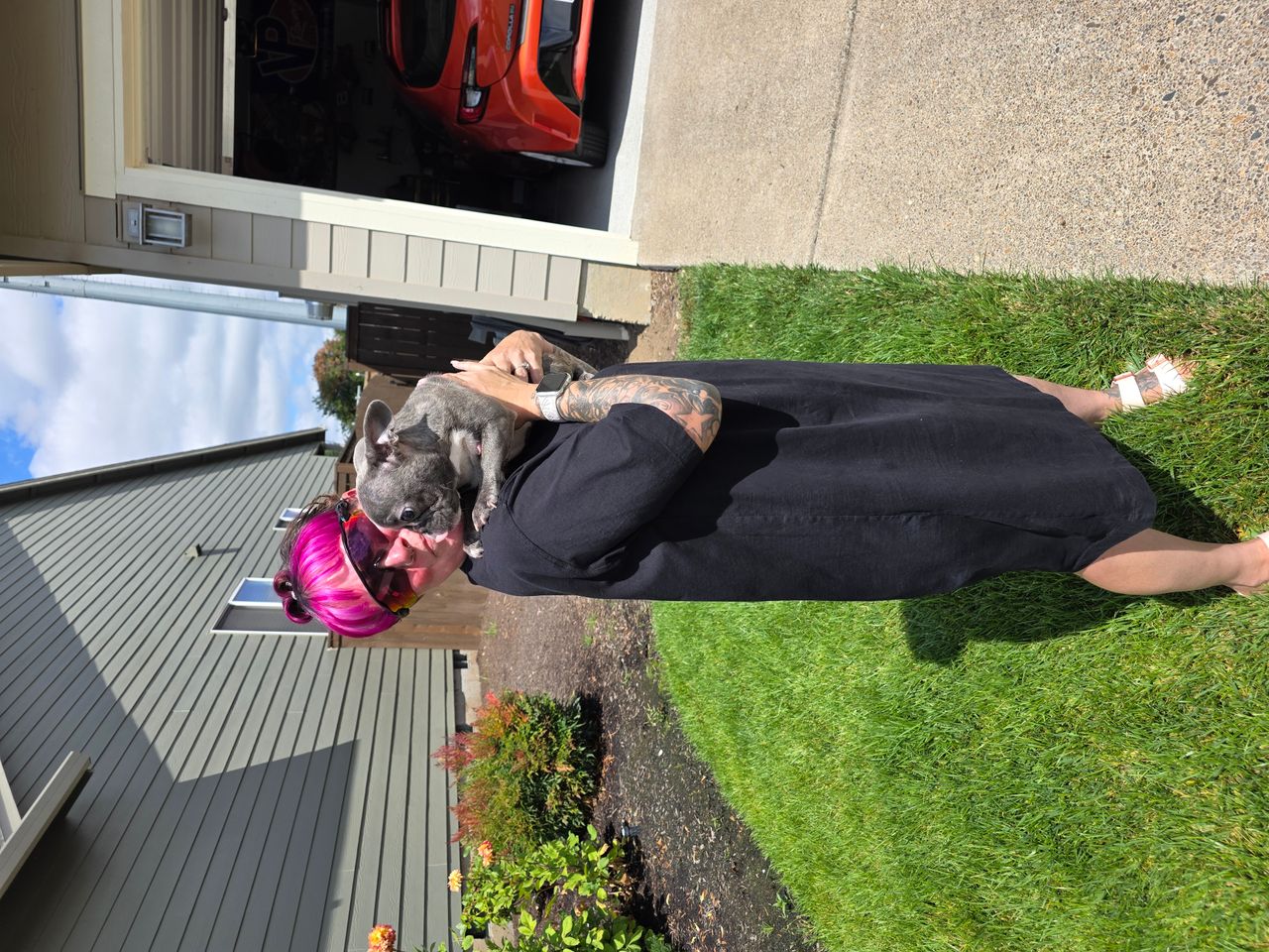 Pet travel photo 1