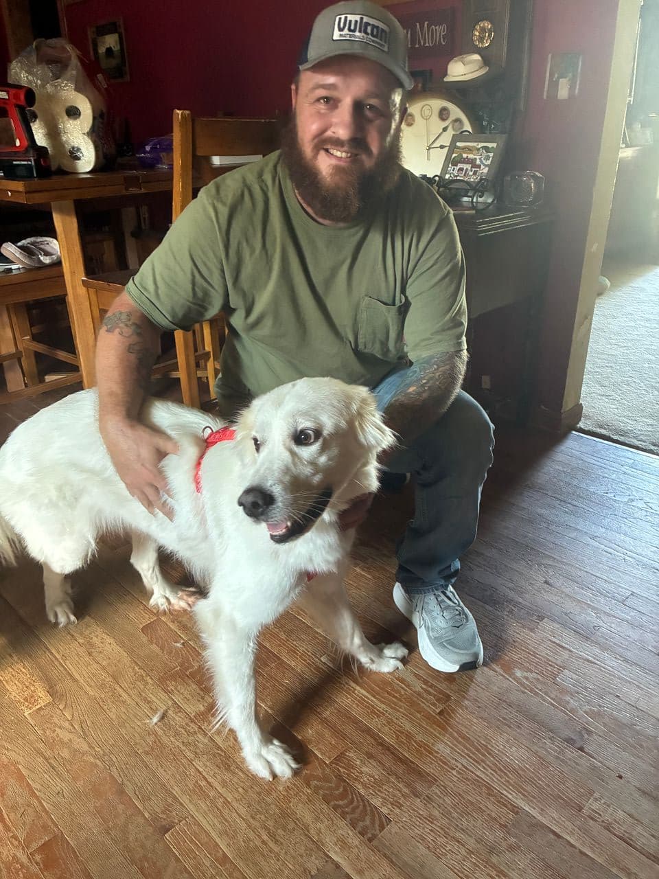 Pet travel photo 1
