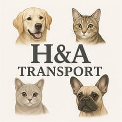 H&A Shipping and Transport
