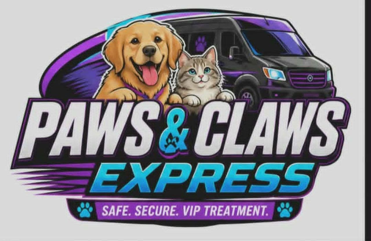 Pet travel photo 5