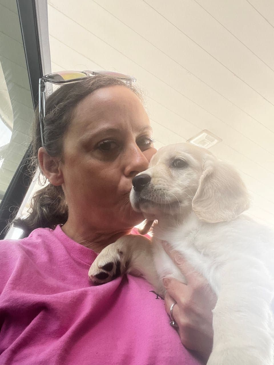 Pet travel photo 5