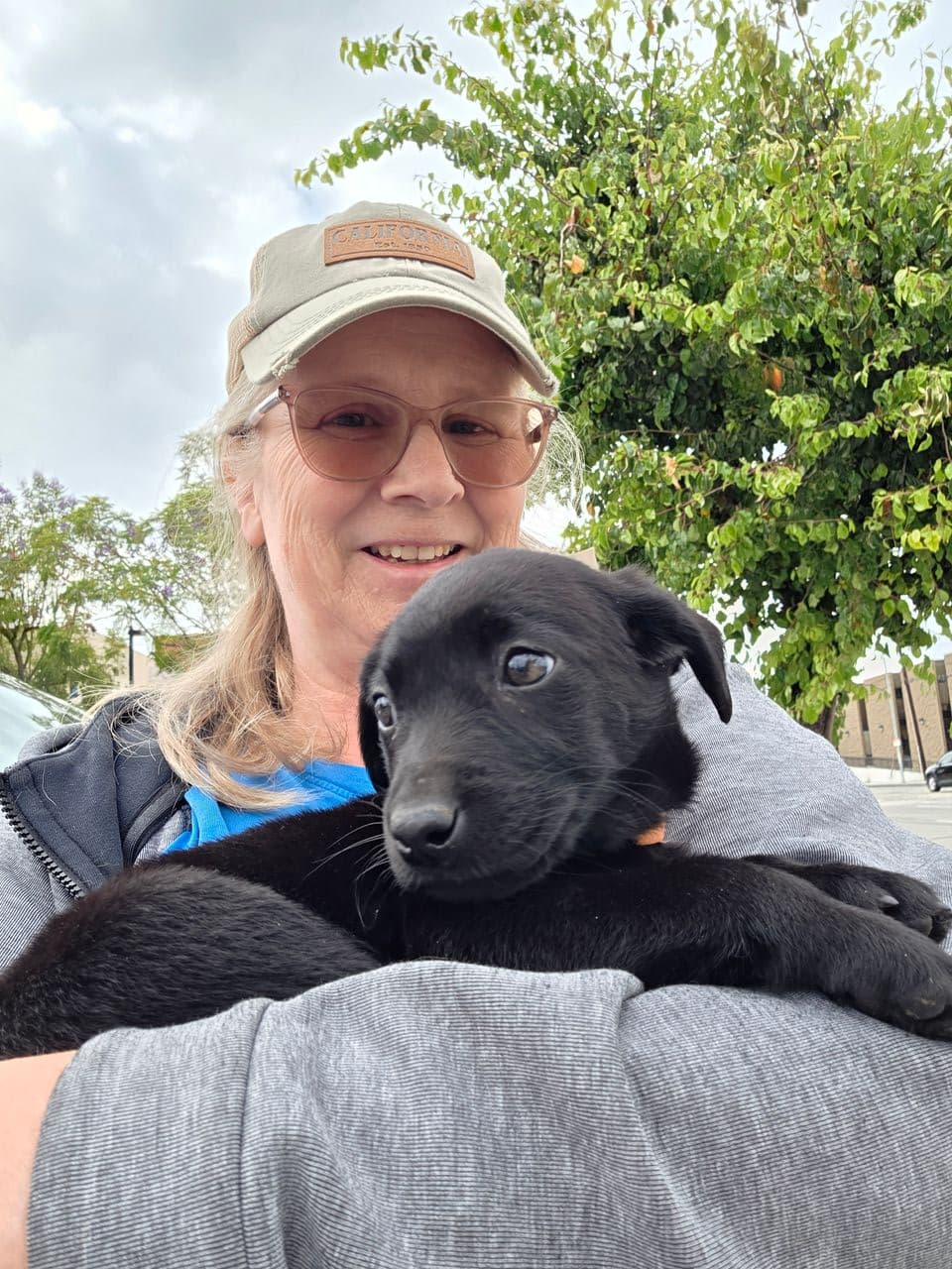 Pet travel photo 1