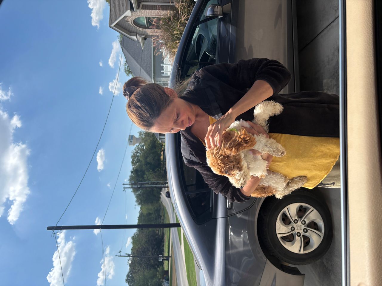 Pet travel photo 2
