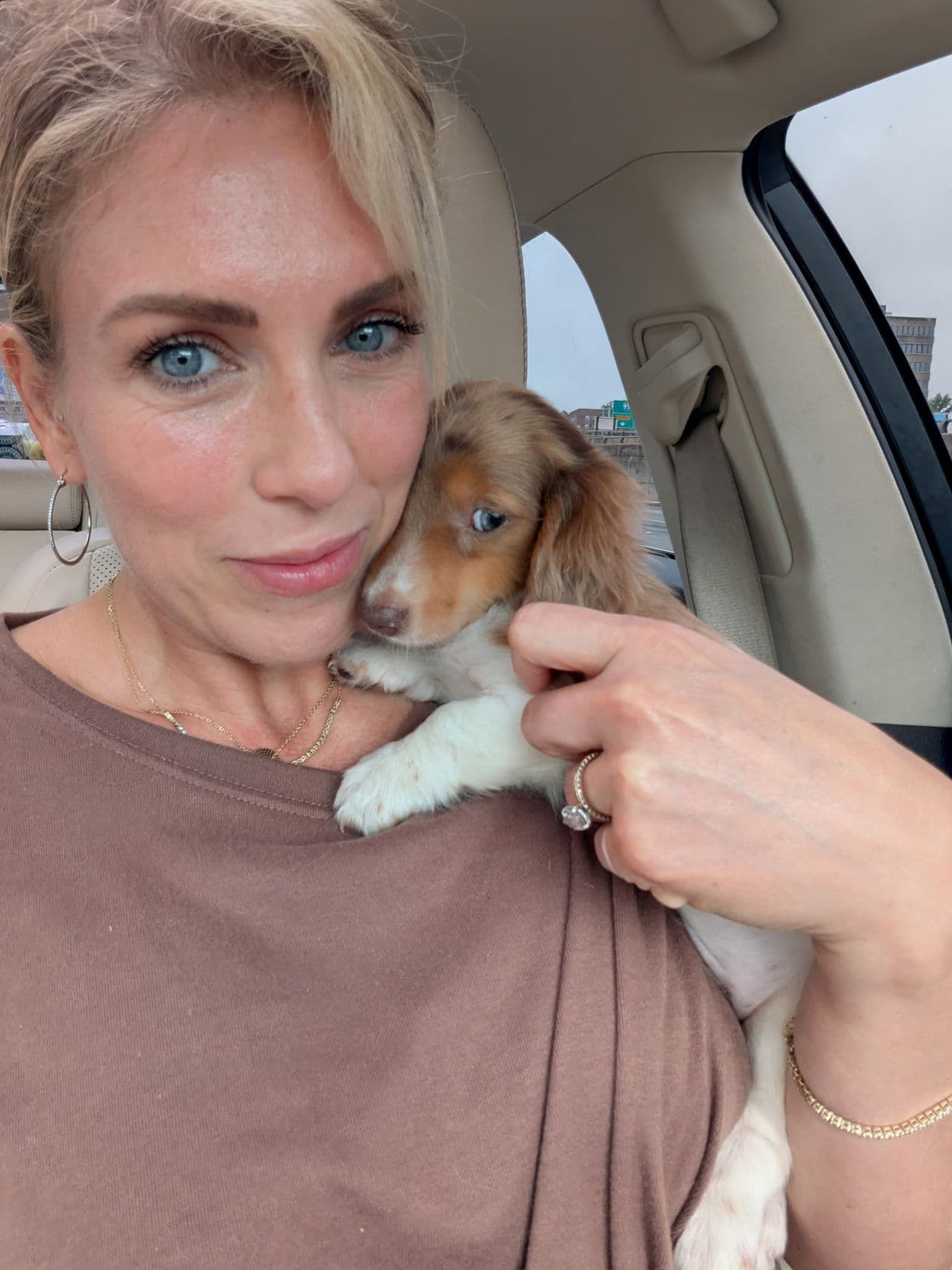 Pet travel photo 6