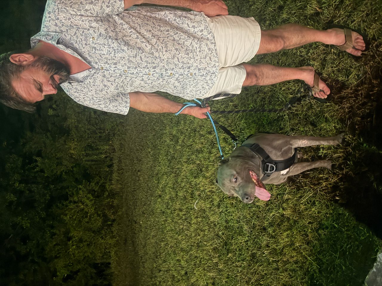Pet travel photo 3