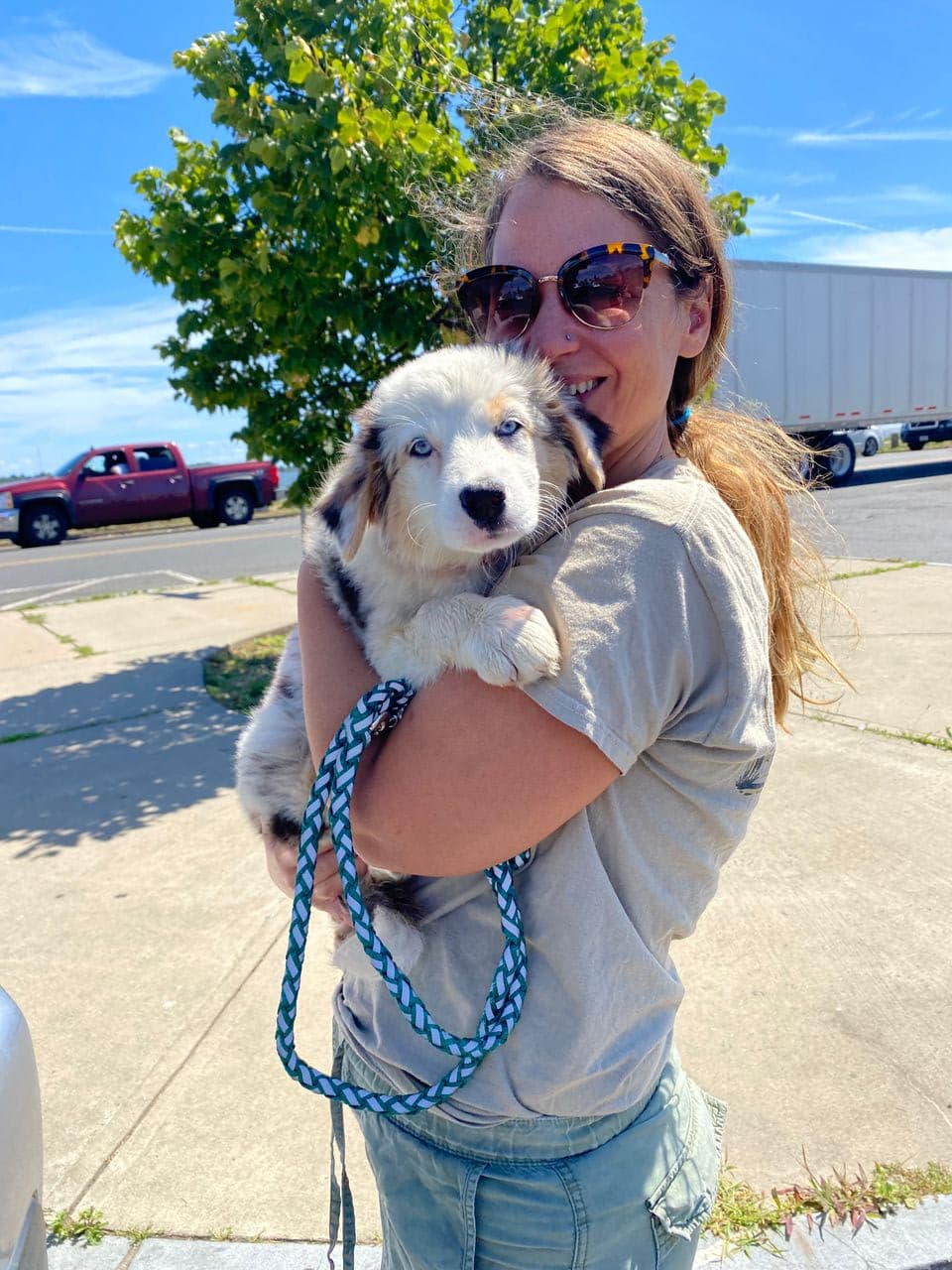Pet travel photo 1