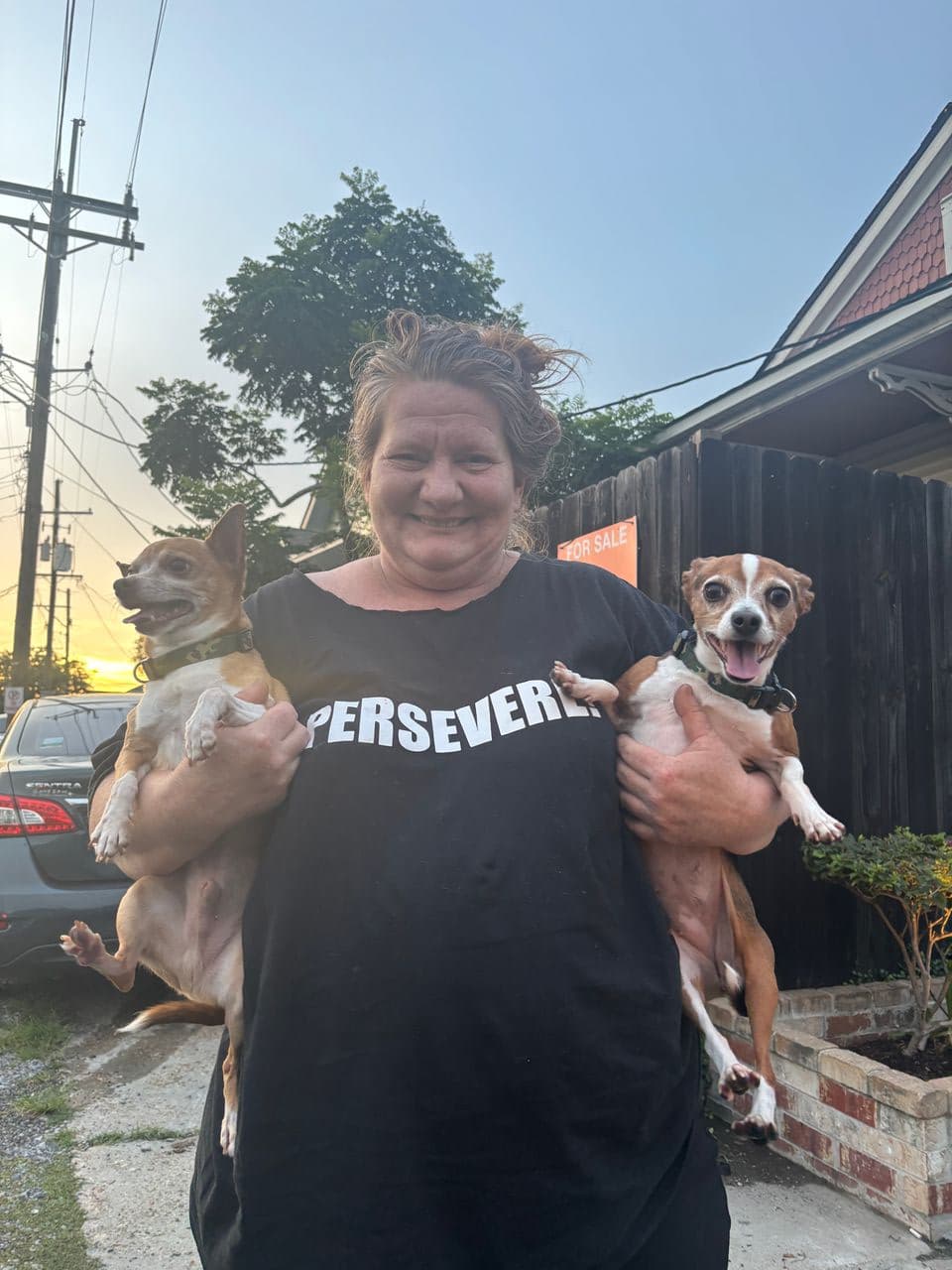 Pet travel photo 1