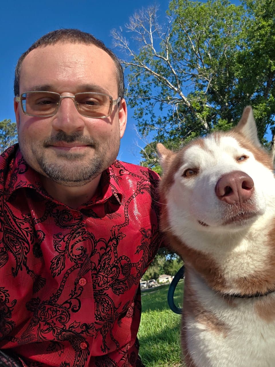 Pet travel photo 6