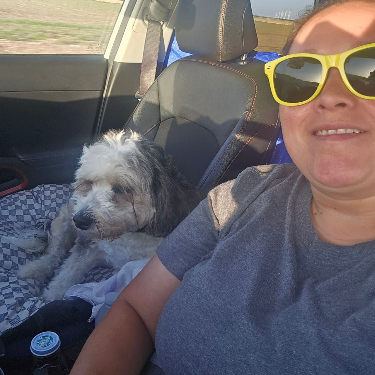 Pet travel photo 1