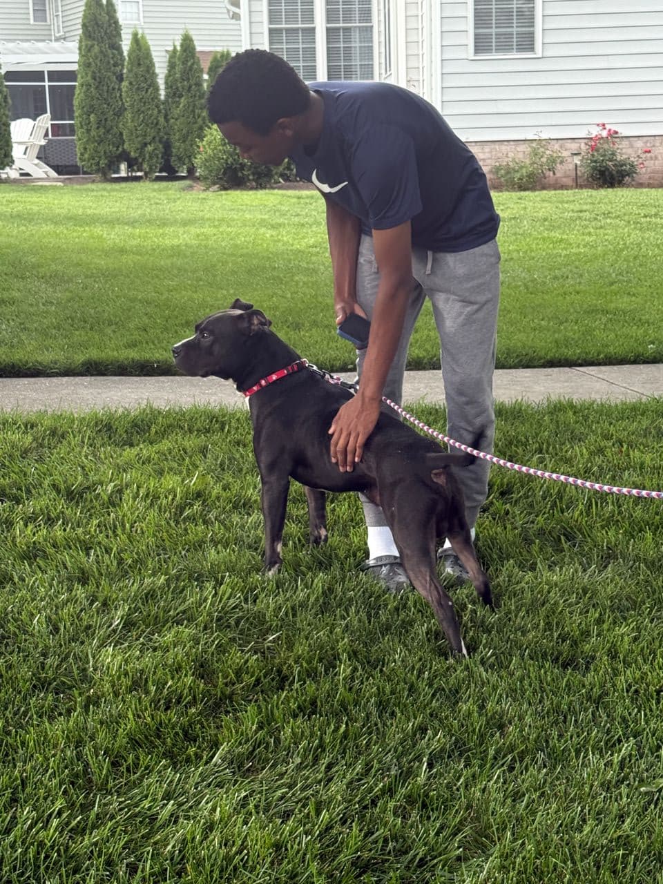 Pet travel photo 3