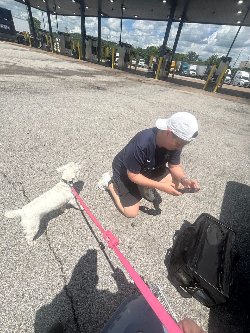 Pet travel photo 5