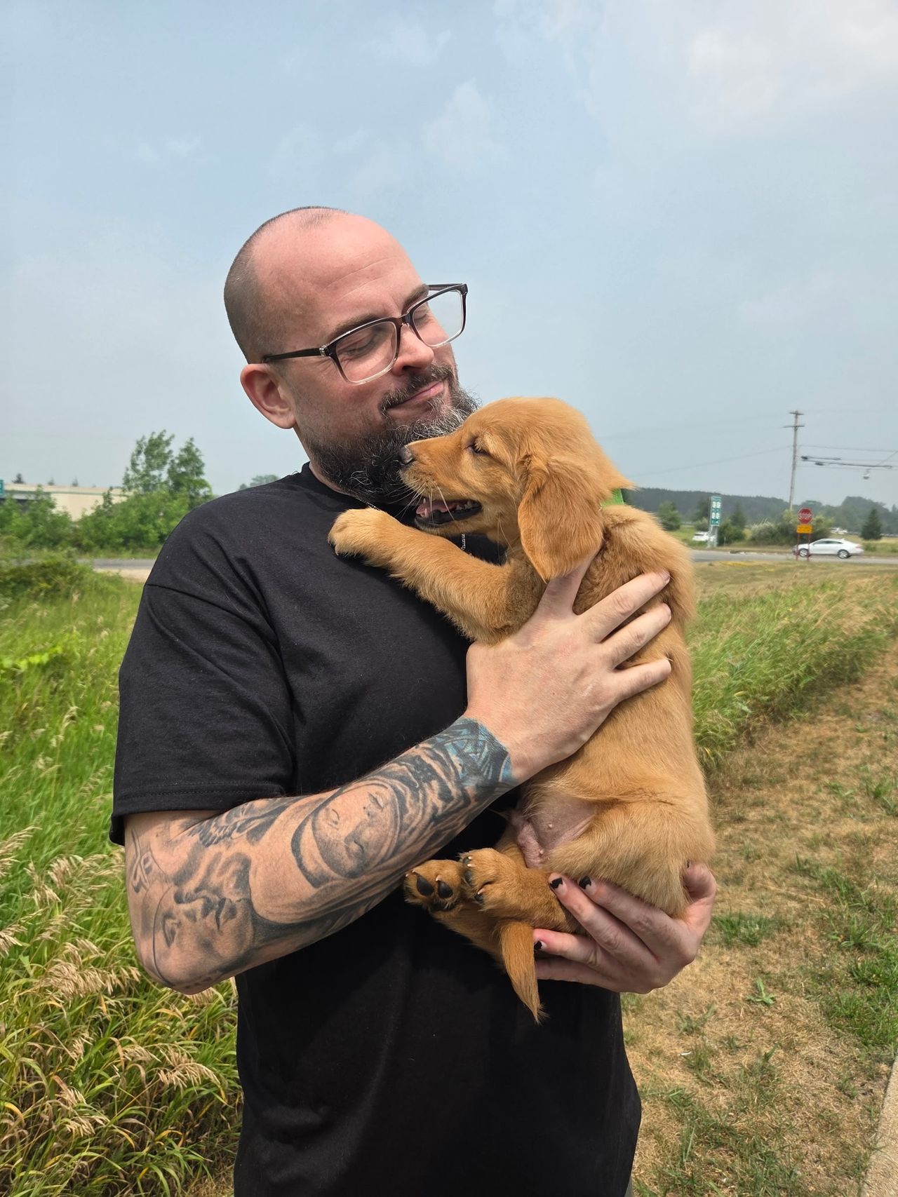 Pet travel photo 2