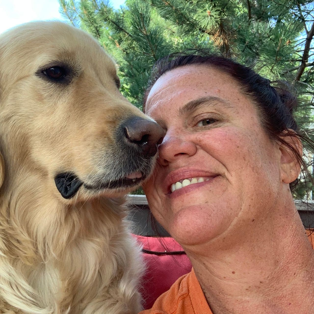 Pet travel photo 4