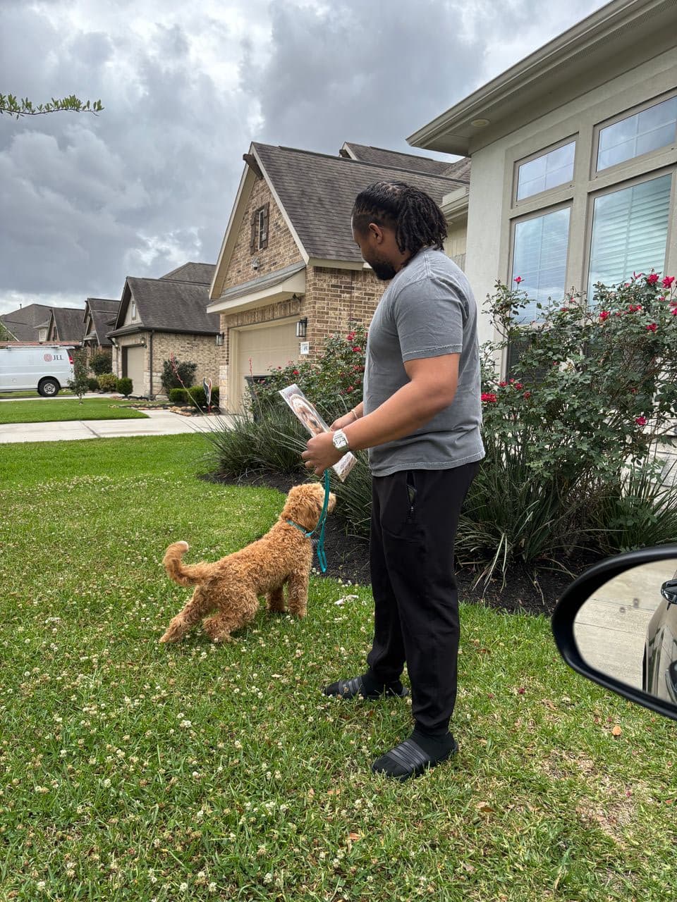 Pet travel photo 3