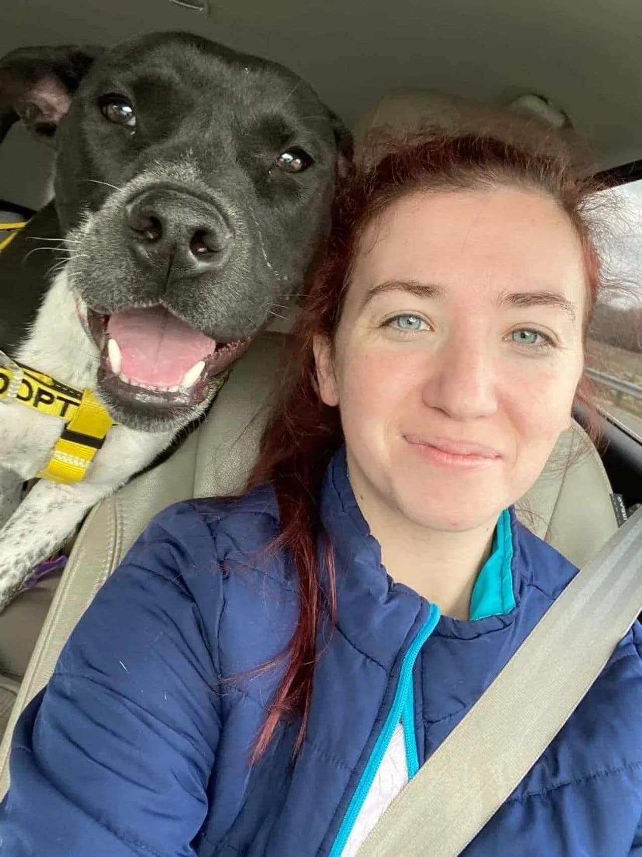 Pet travel photo 1