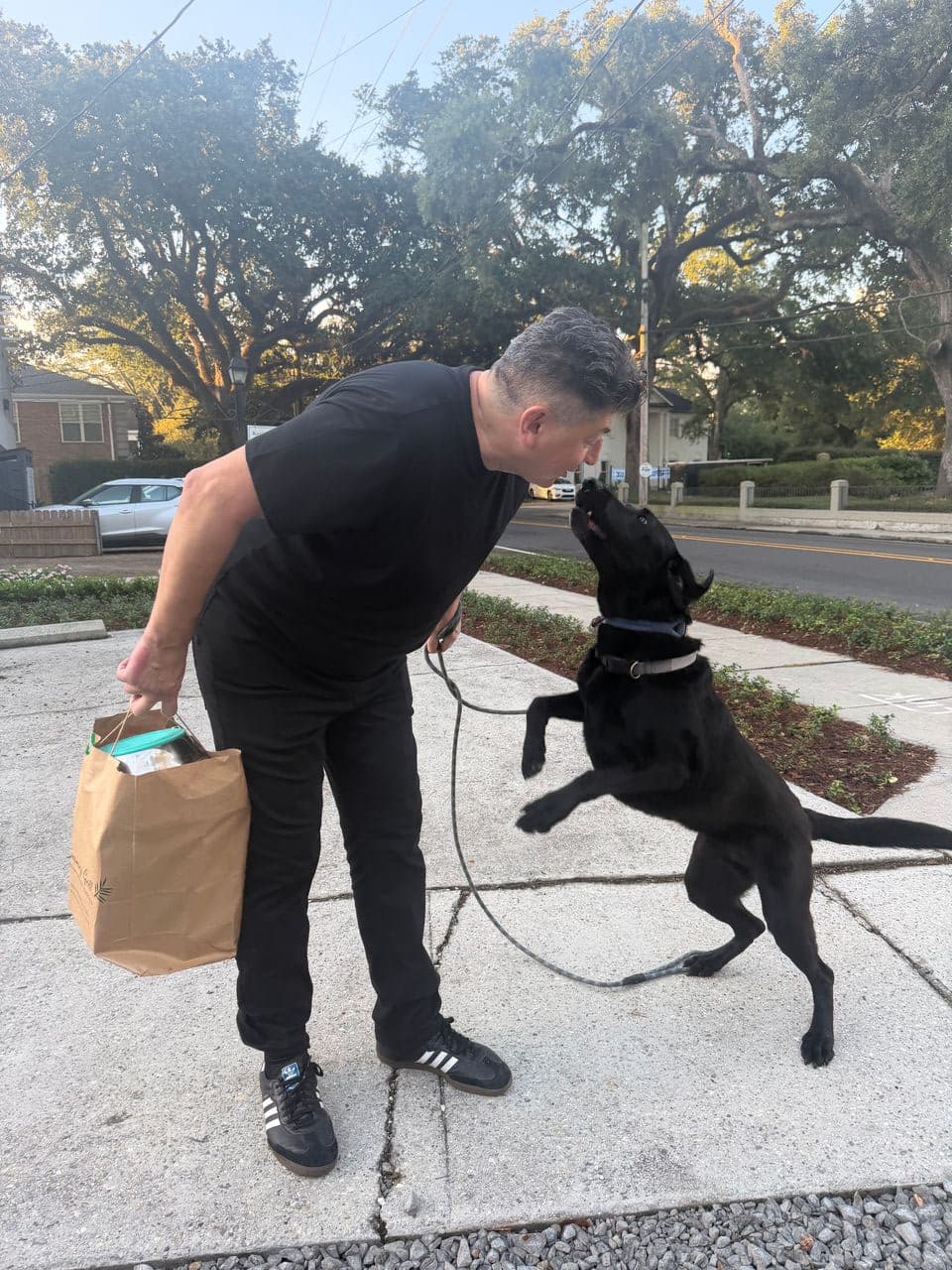 Pet travel photo 3