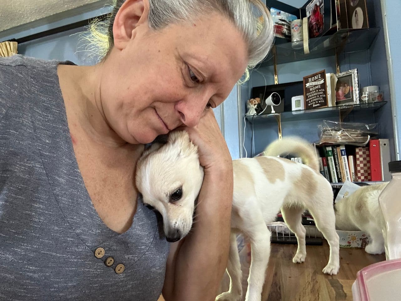 Pet travel photo 1