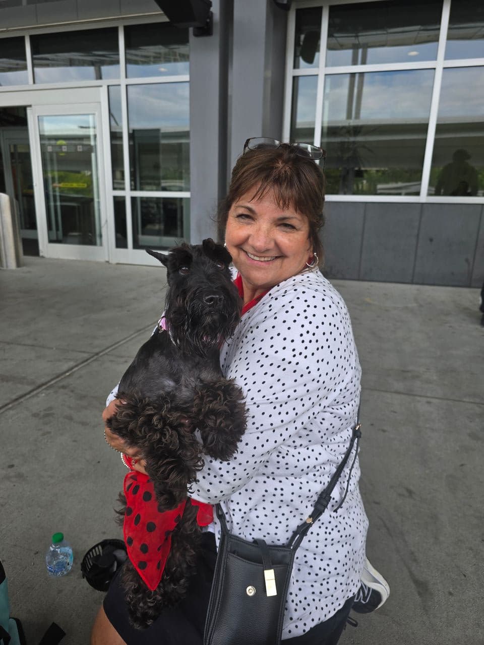 Pet travel photo 5