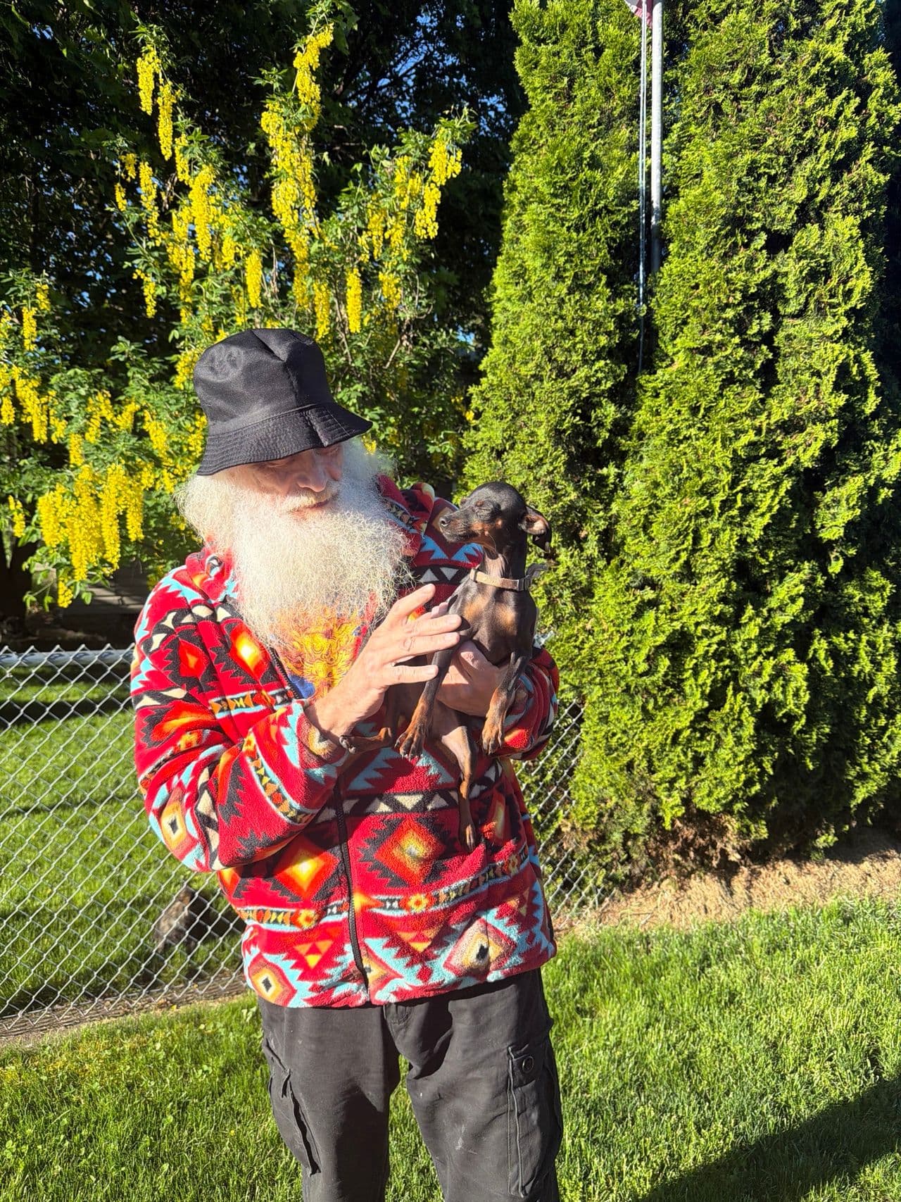 Pet travel photo 5