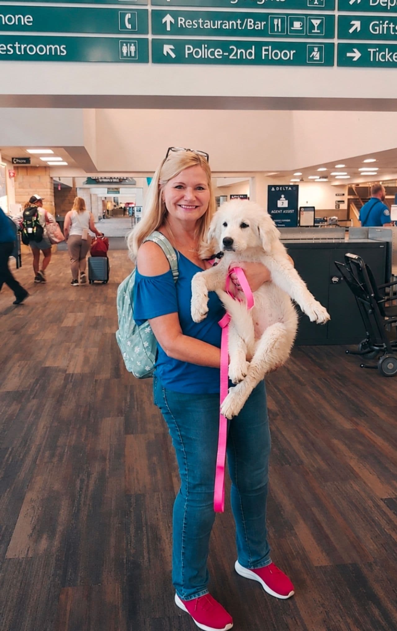 Pet travel photo 2