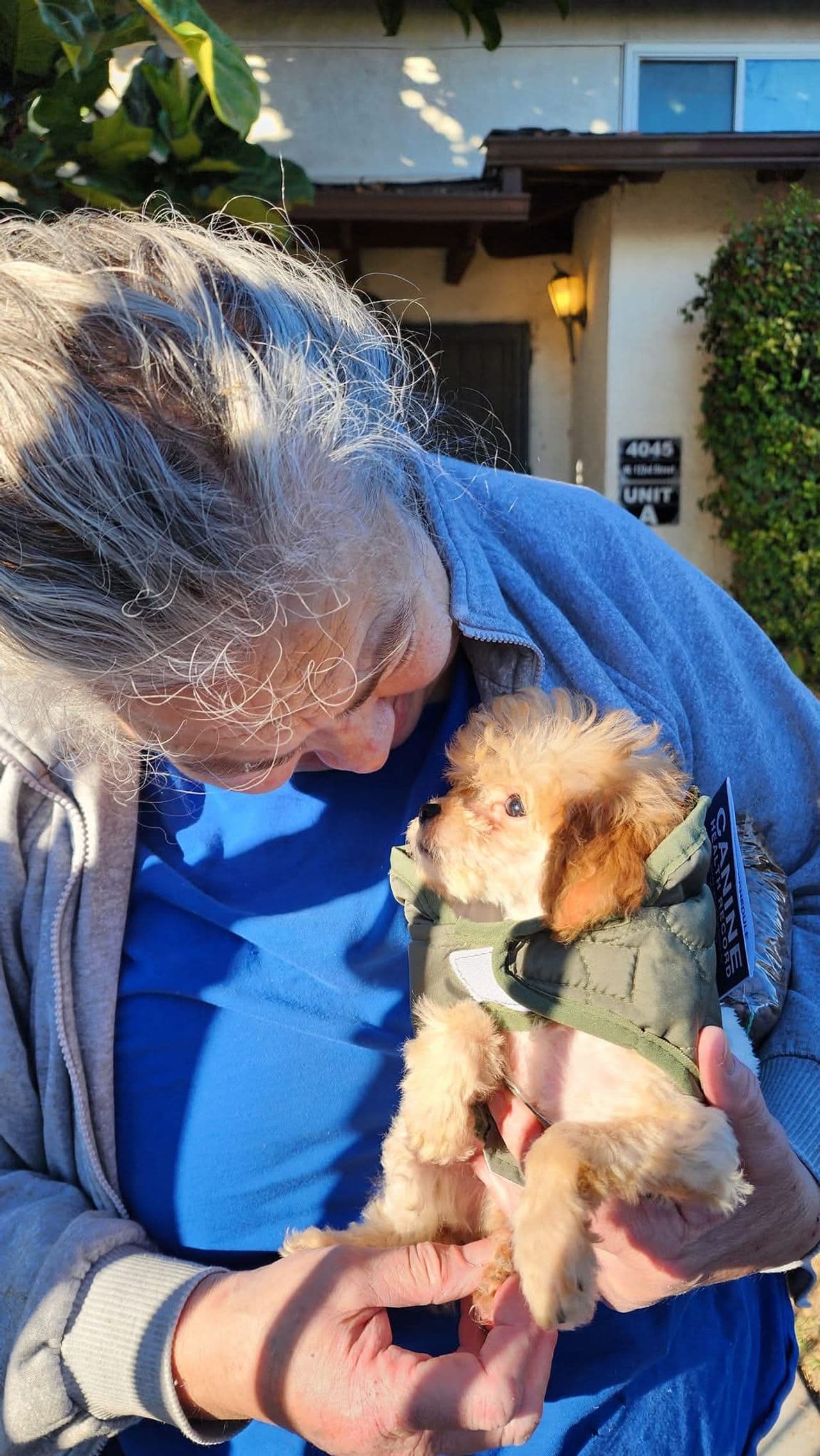 Pet travel photo 6