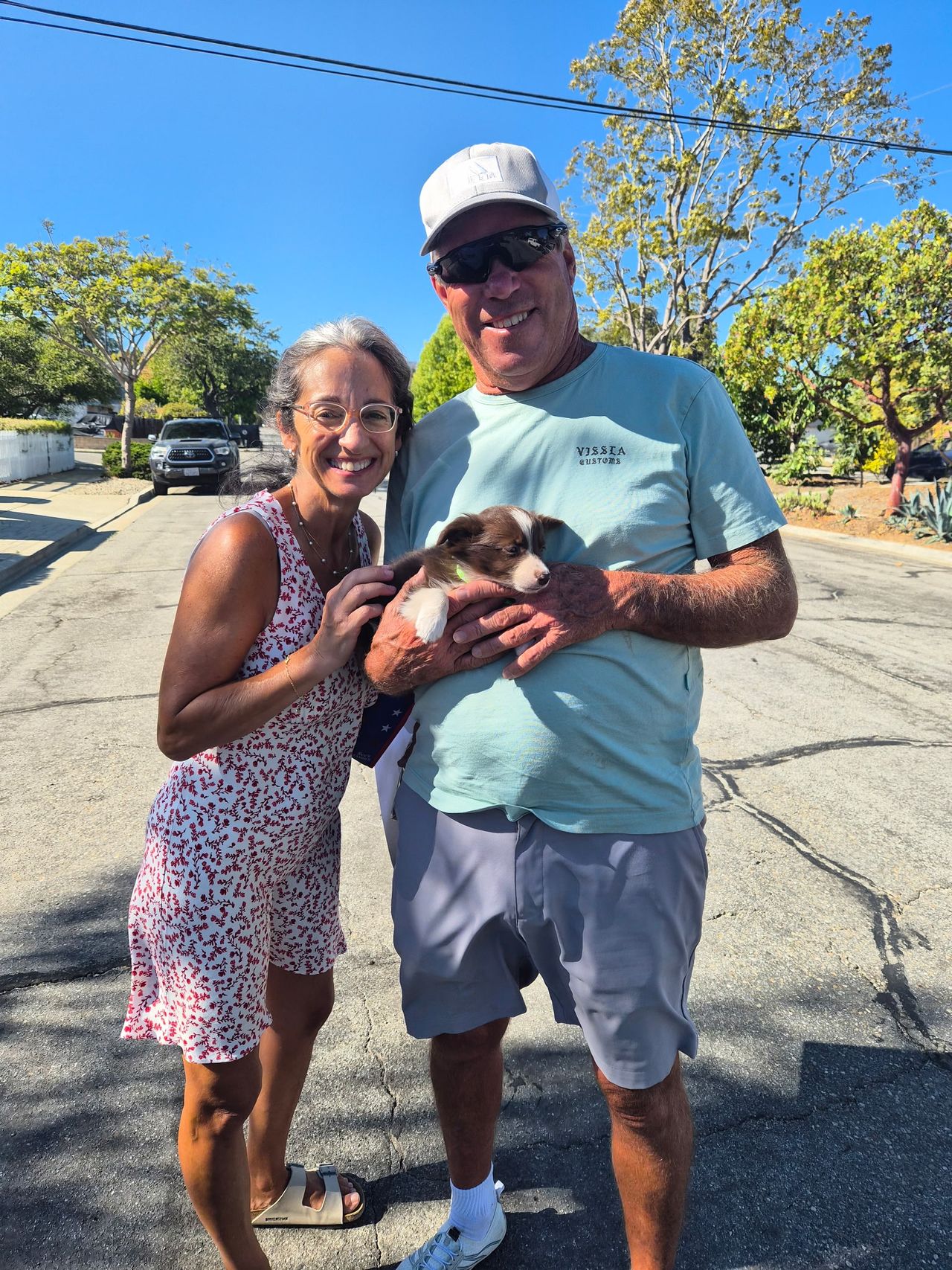 Pet travel photo 1