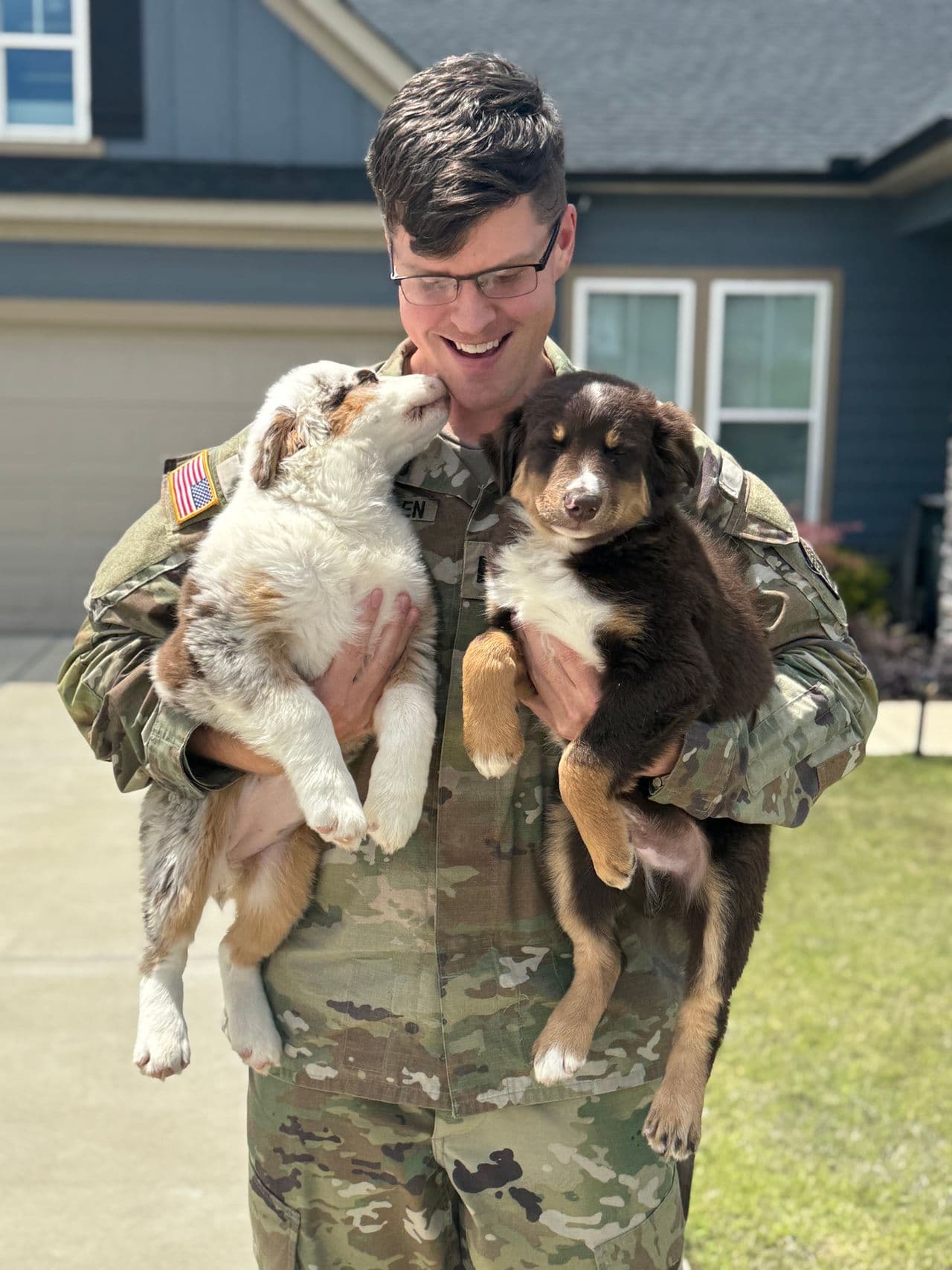 Pet travel photo 1