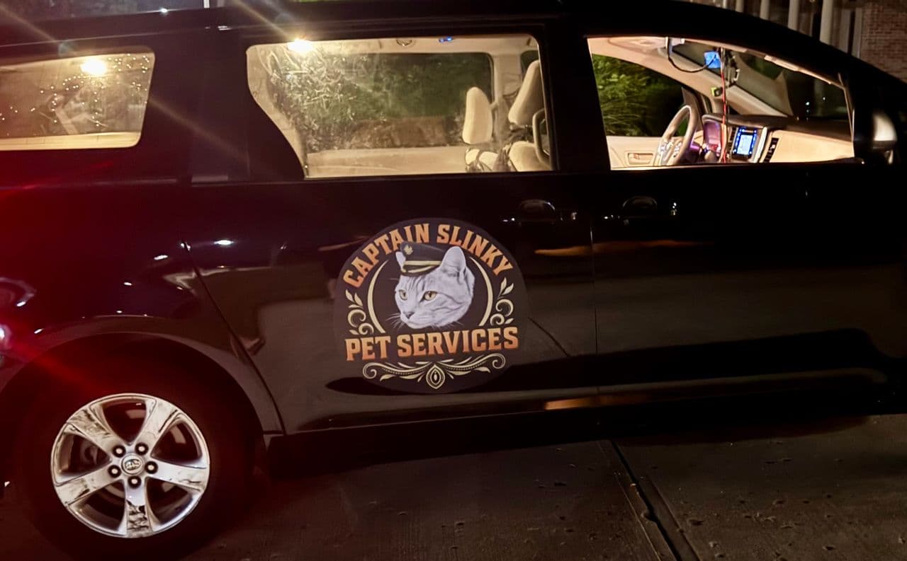 Pet travel photo 1