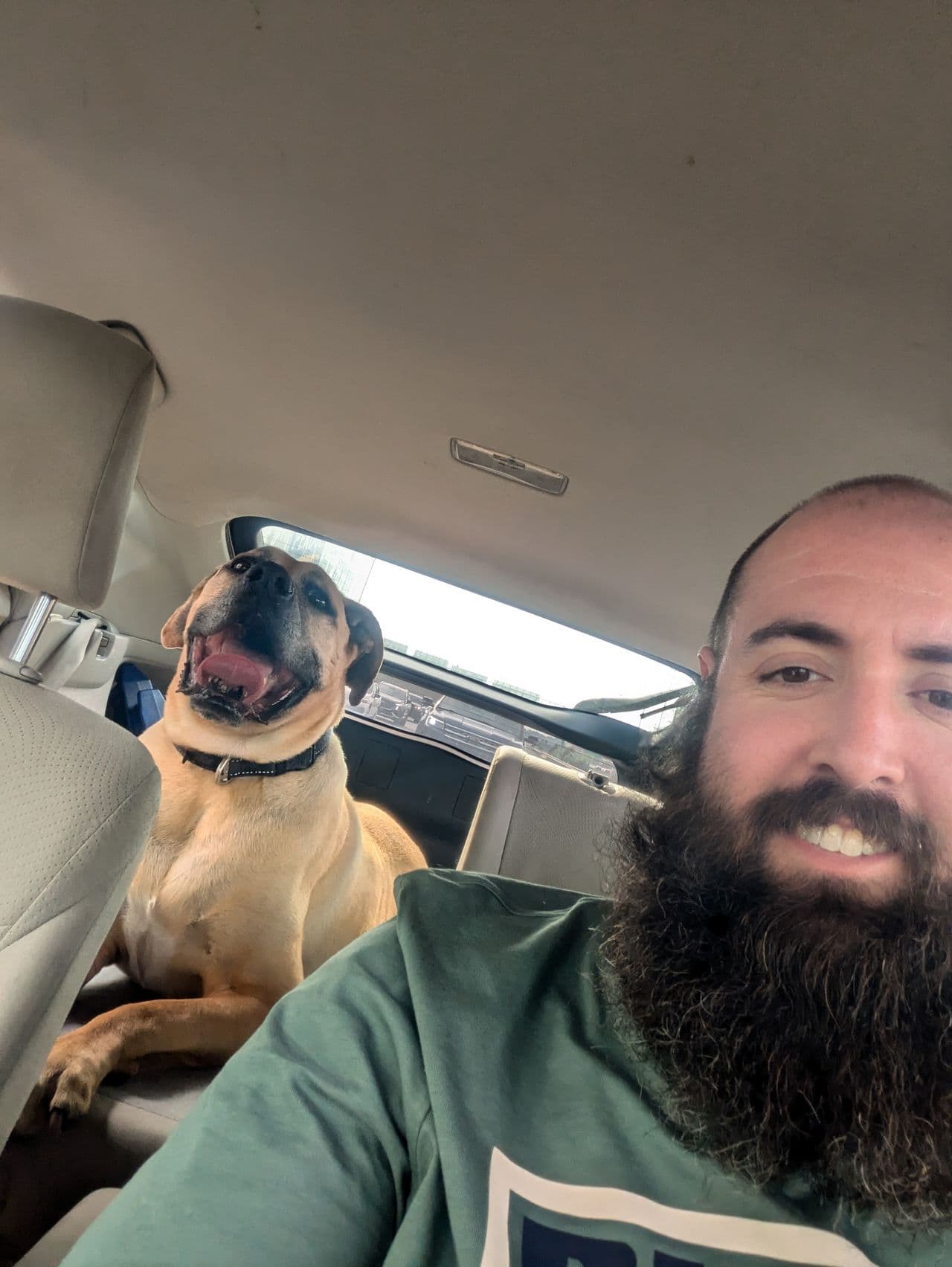 Pet travel photo 1