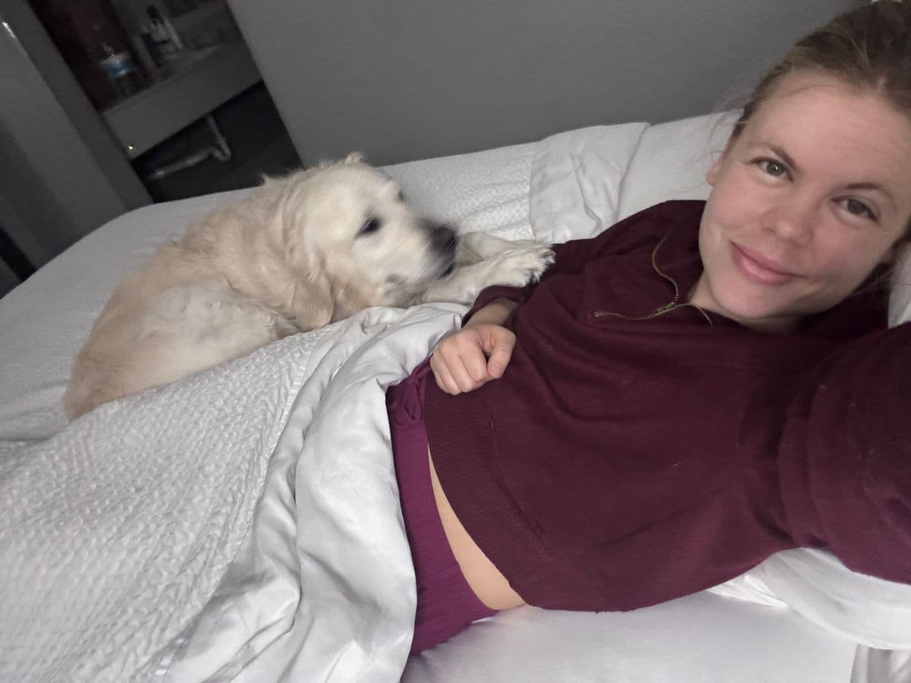 Pet travel photo 4