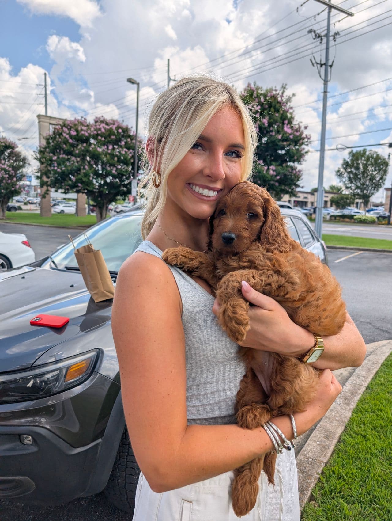 Pet travel photo 2