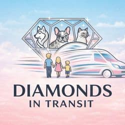 Diamonds In Transit VIP