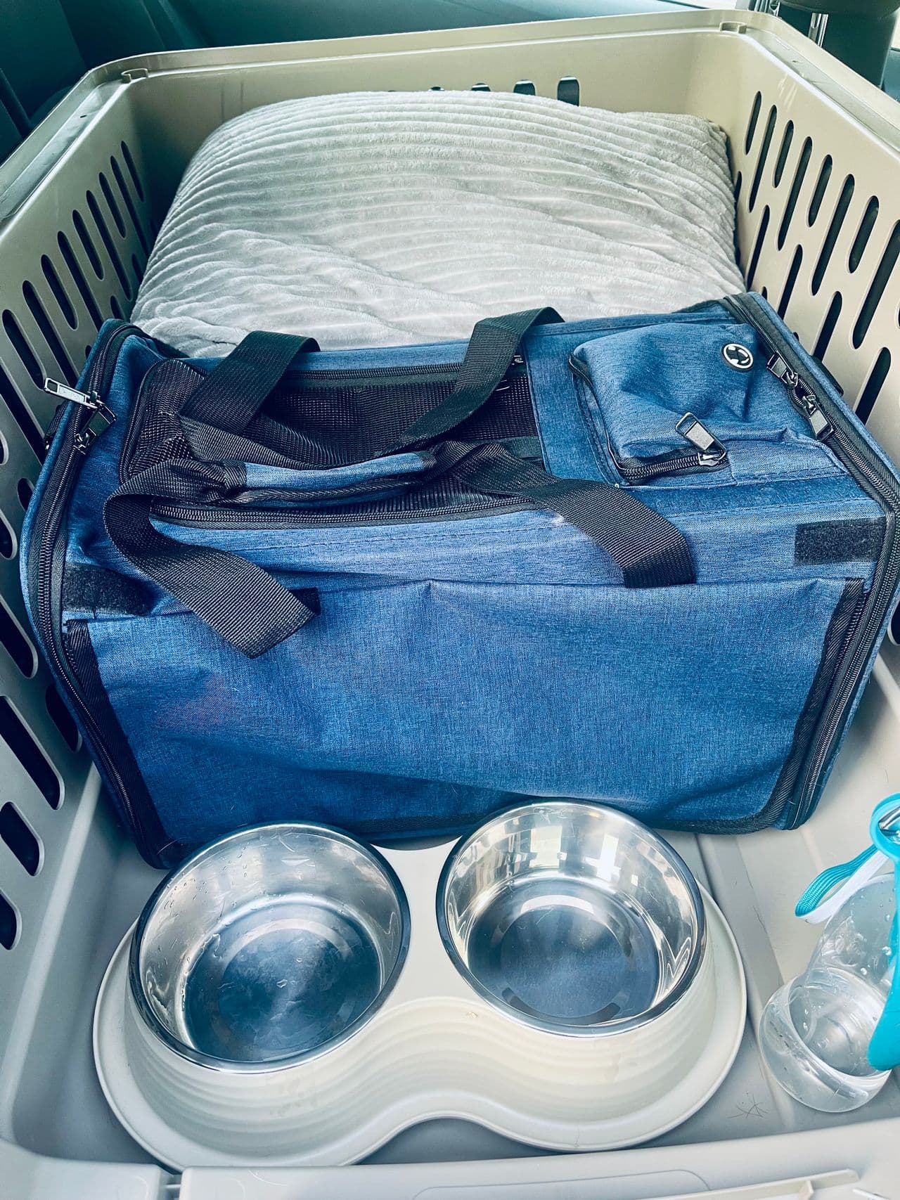 Pet travel photo 1