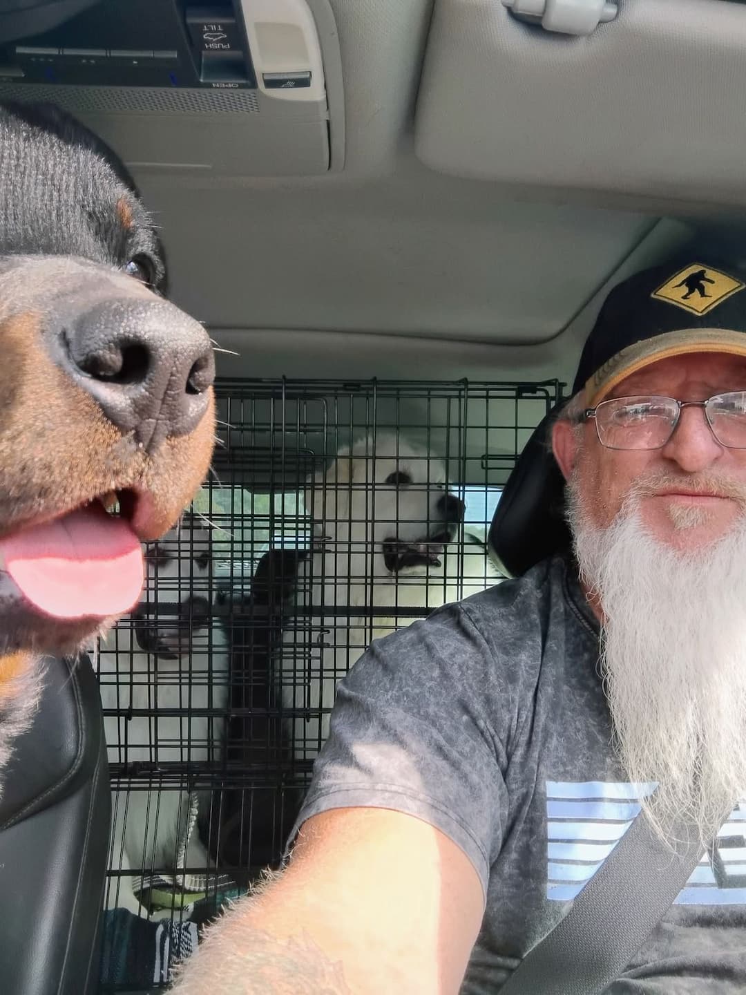 Christian's Pup Hound Transport - DFW Texas