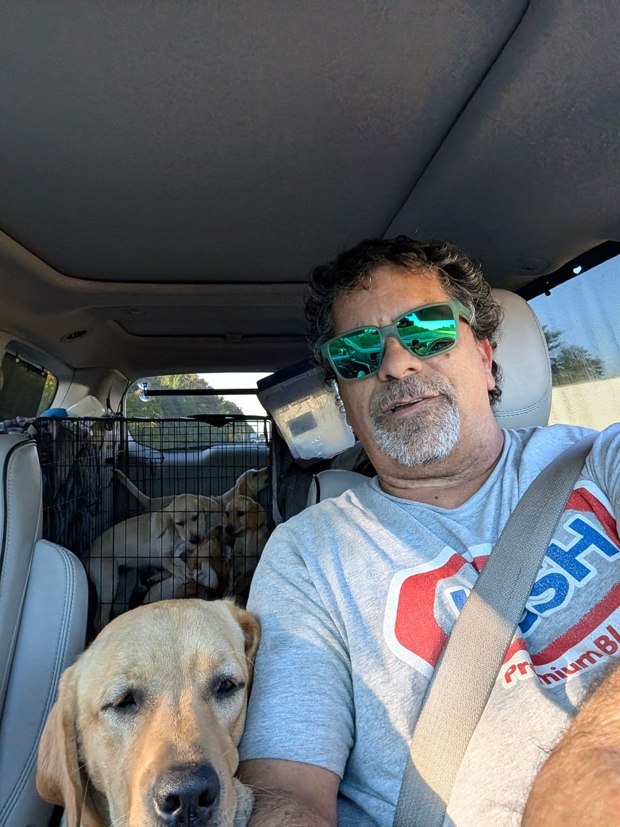 Pet travel photo 4