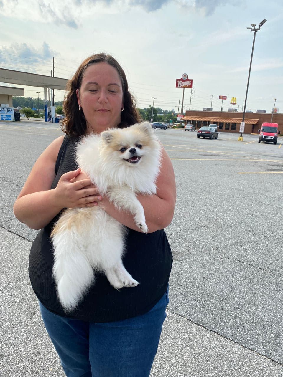 Pet travel photo 4