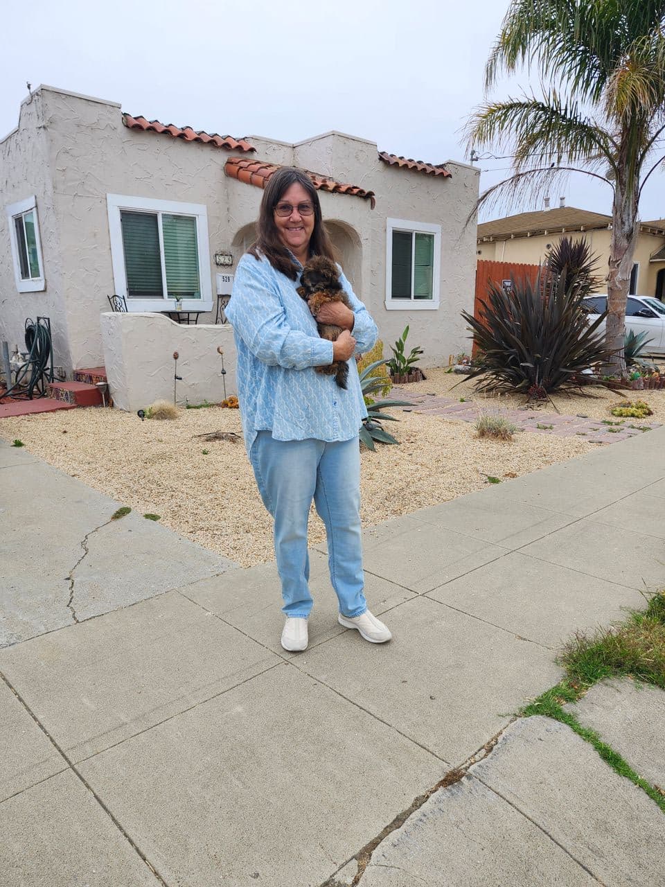 Pet travel photo 1