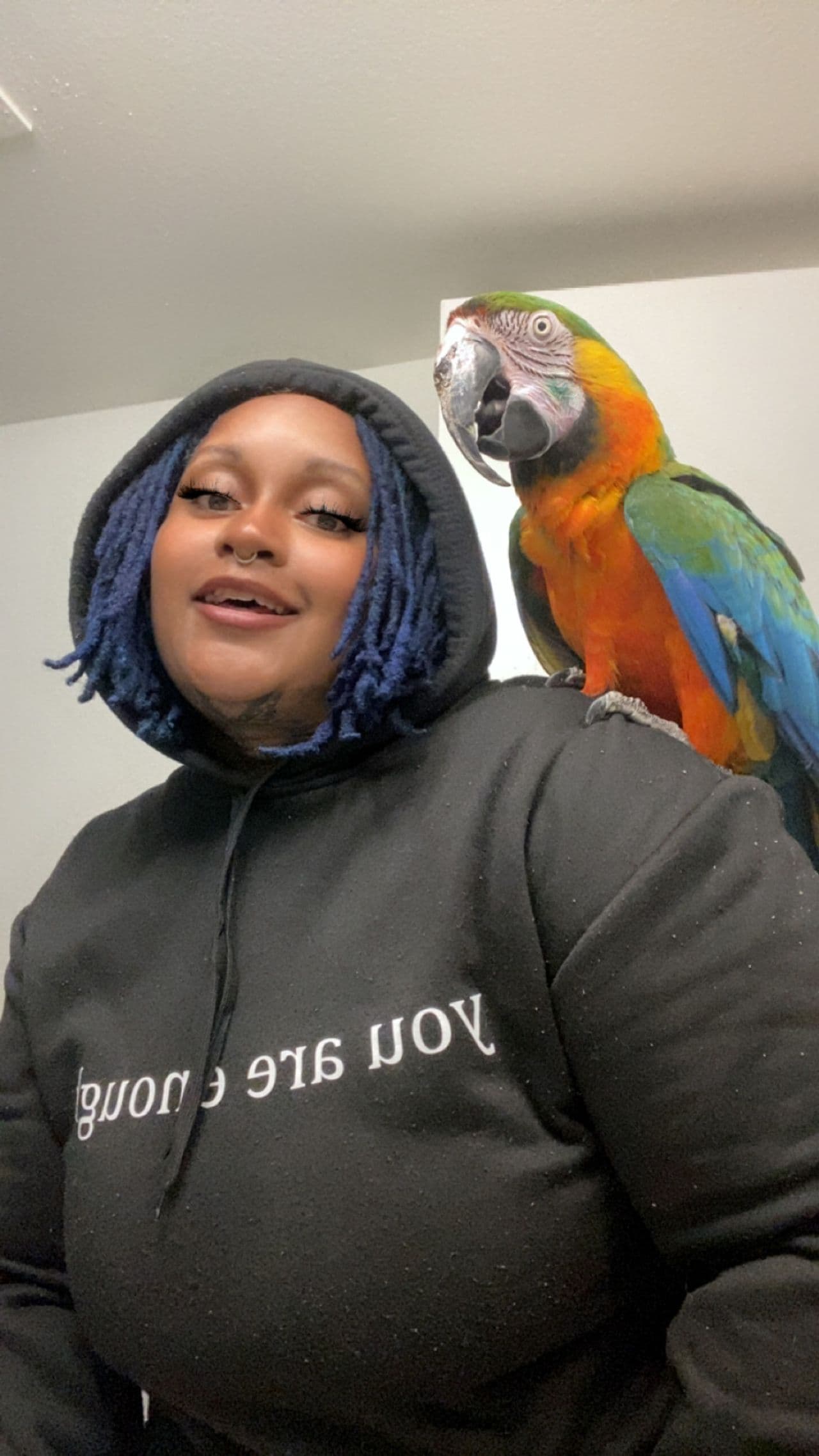 Pet travel photo 1