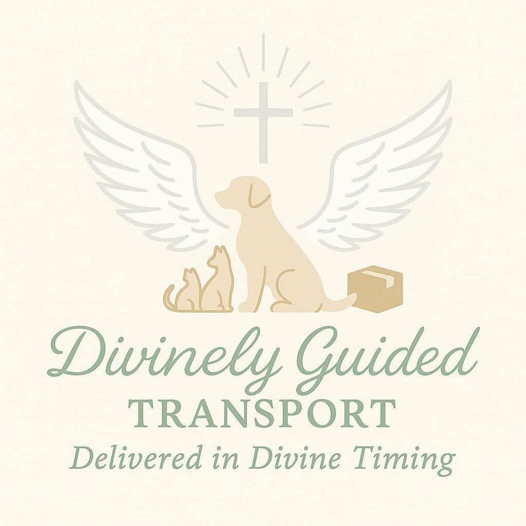 Divinely Guided Transport