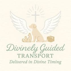 Divinely Guided Transport