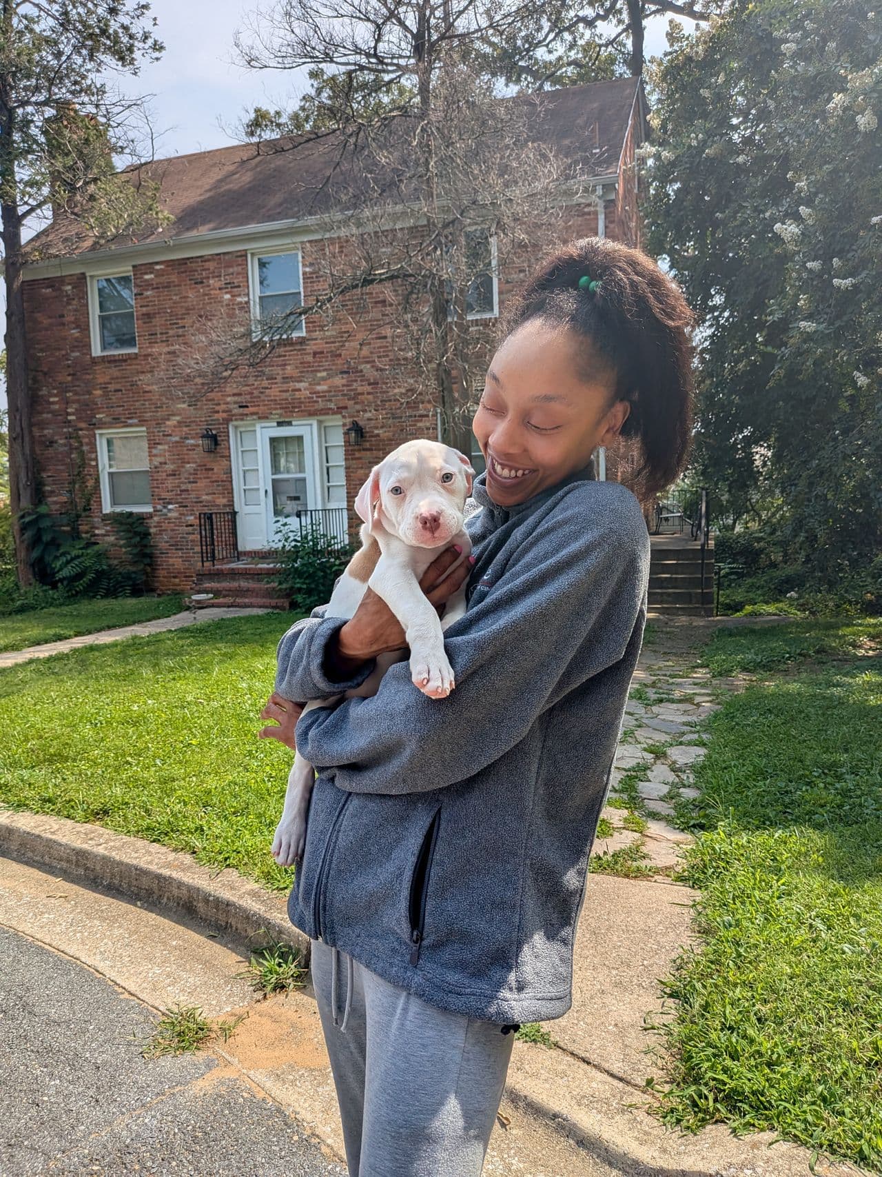 Pet travel photo 2