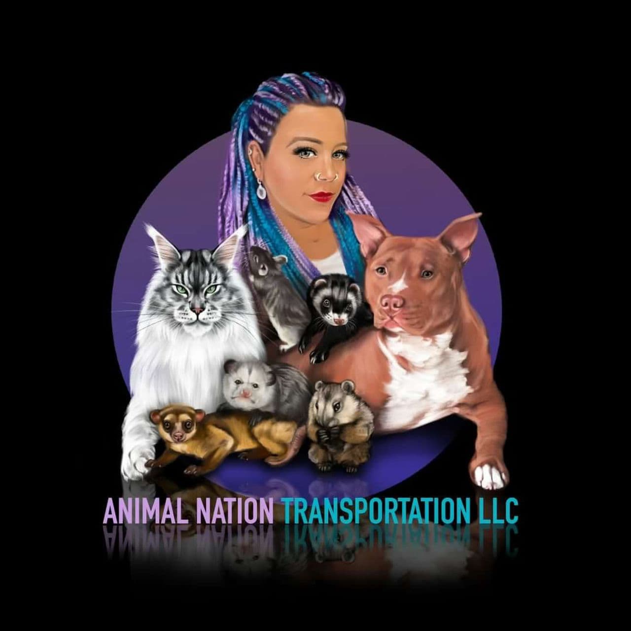 Animal Nation Transportation LLC