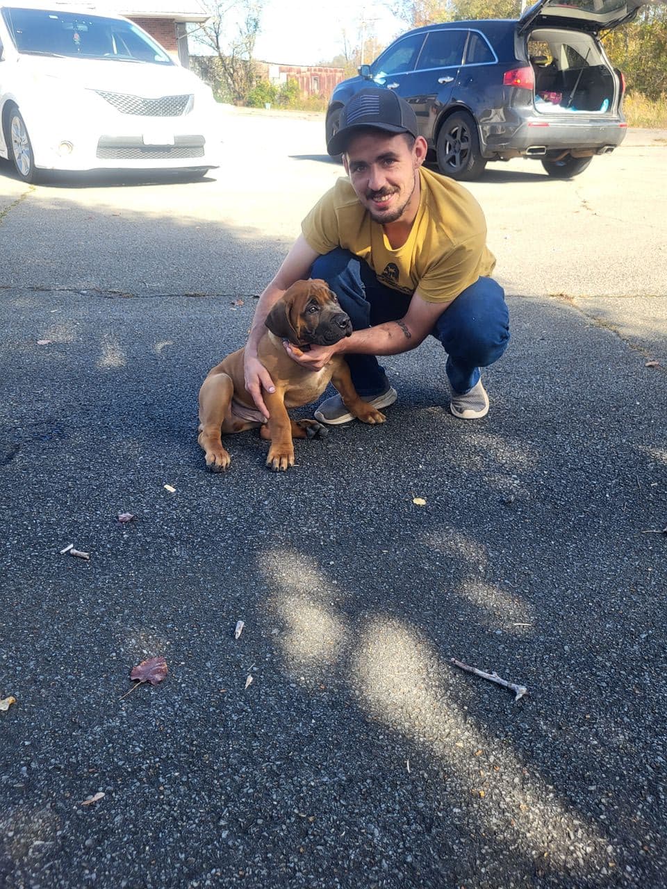 Pet travel photo 3