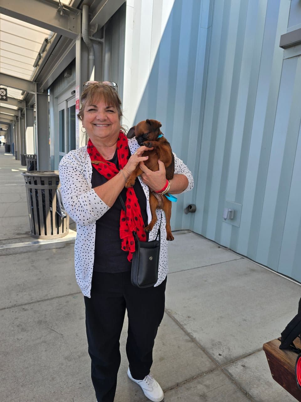 Pet travel photo 2