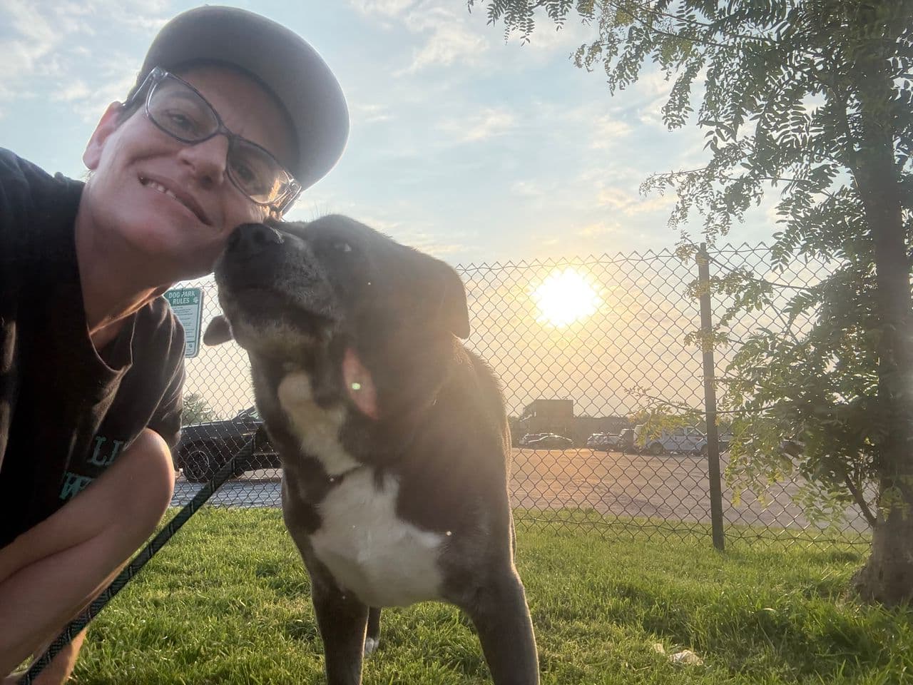 Pet travel photo 4