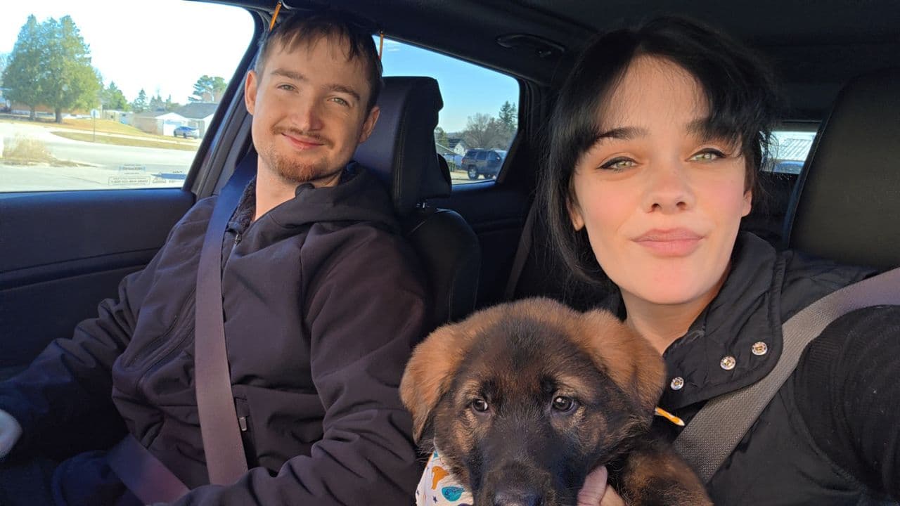 Pet travel photo 1