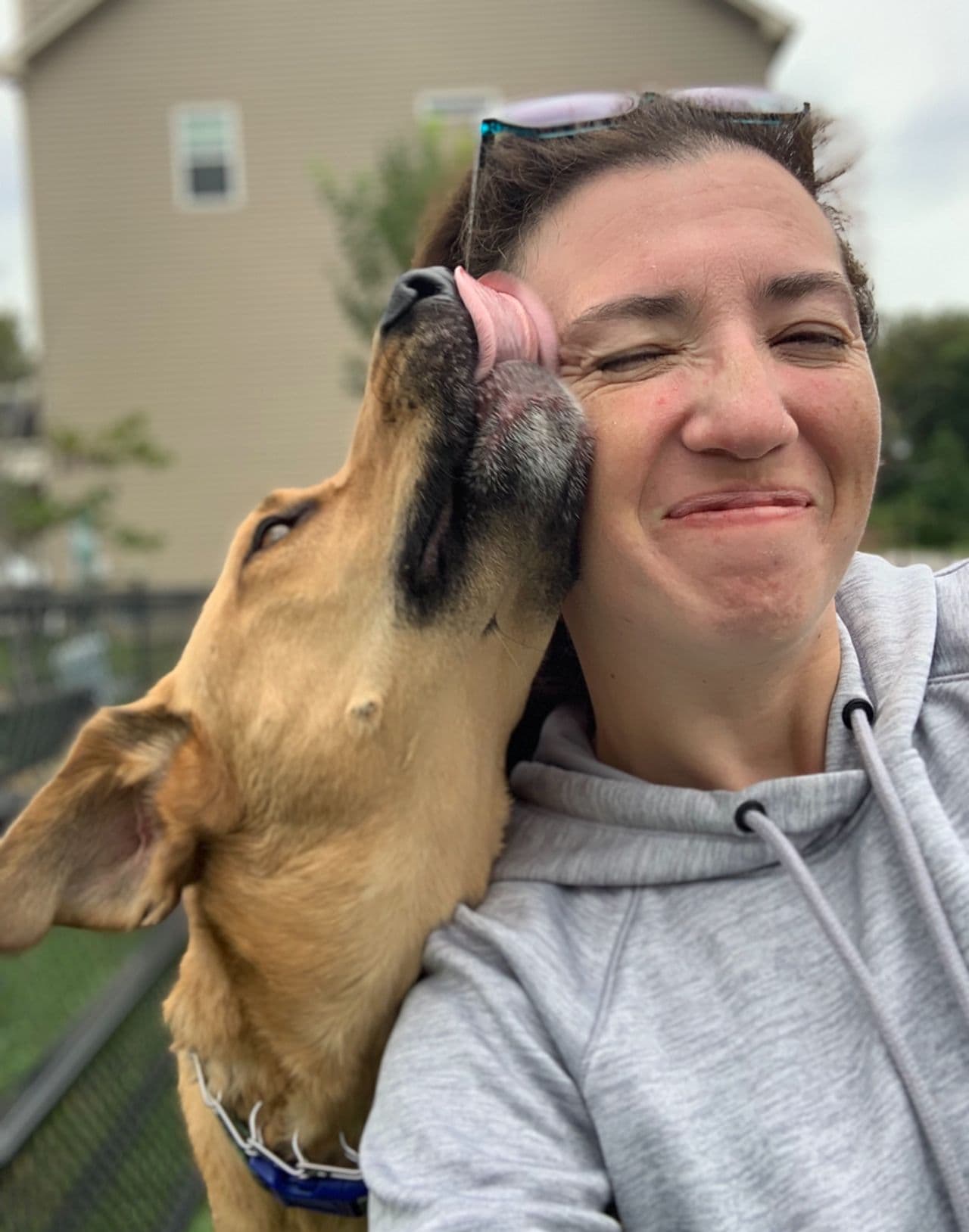 Pet travel photo 4